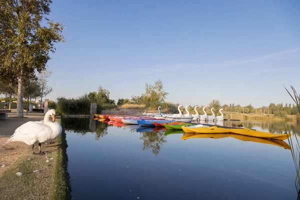Jetty Pond City Zaragoza Spain Canoes Boats — Stock Photo, Image