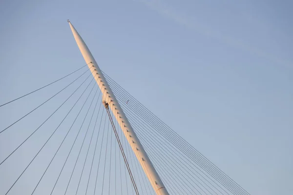 Zaragoza, İspanya 23 Ocak 2019: Zaragoza İspanya 'da gönüllü yürüyüş