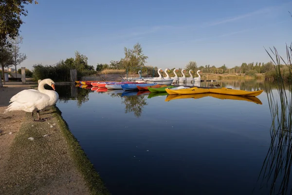 Embarcadero Estanque Ciudad Zarjalá España Con Canoas Barcos — Foto de Stock