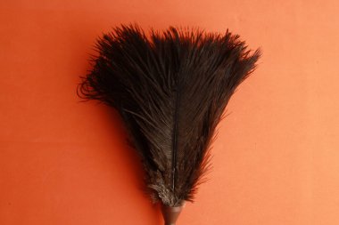 Tozu temizlemek için kahverengi toz bezi