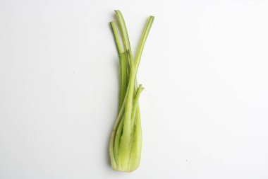 Borage genellikle Aragon İspanya 'da pişirilen bir sebzedir.