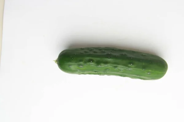 Pepino Cultivado España Sobre Fondo Coloreado — Foto de Stock