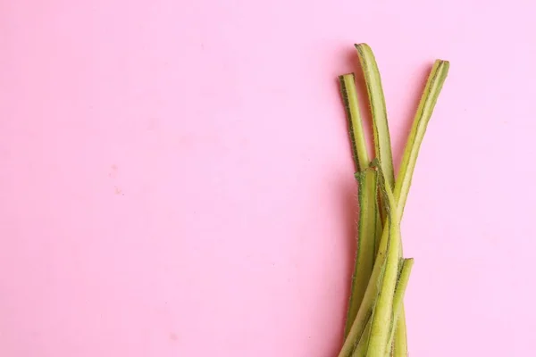 Borragem Vegetal Que Geralmente Cozido Aragão Espanha — Fotografia de Stock