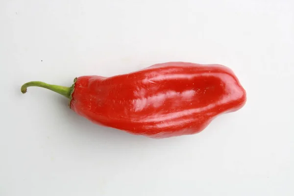 Red Pepper Colorful Background — 스톡 사진