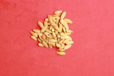 renkli arkaplanda kavun tohumları