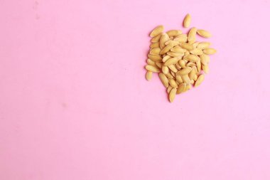 renkli arkaplanda kavun tohumları