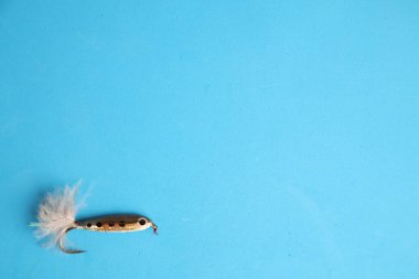 Saragossa İspanya. 18 Eylül 2019 balıkçılık yemi