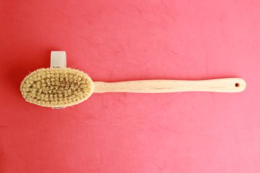 arka için duş fırçası