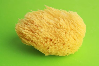 bebek banyosu için doğal sünger, sarı