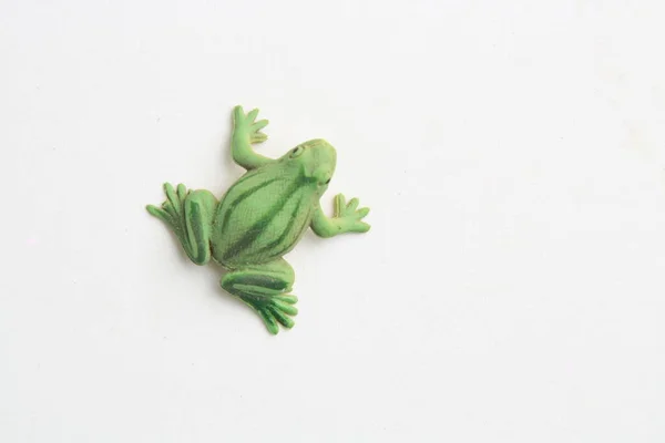 Βάτραχος Σχήμα Καουτσούκ Παιχνίδι Στο Φόντο Χρώμα — Φωτογραφία Αρχείου