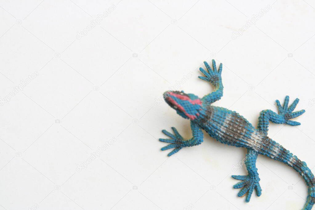 lizard shaped rubber toy in color background
