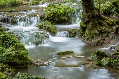 Küçük KADEMELI uzun pozlama yeşil ormanda akan nehir