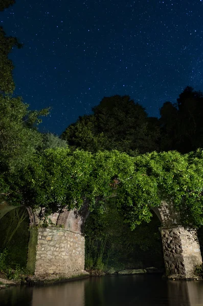 生长在柱子上的绿灌木和平静的池塘在星光灿烂的夜晚长期暴露 — 图库照片
