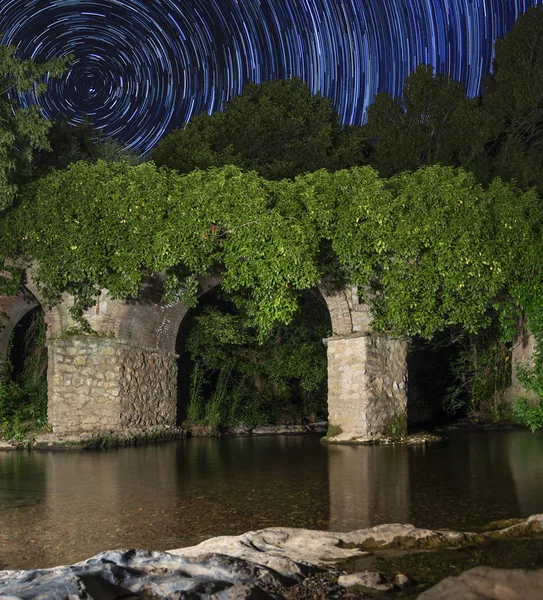 長時間露光の星空で列および静かな池に成長して緑の茂み — ストック写真