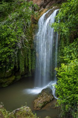 Art arda sıralı kaya su birikintisi içinde yeşil ormanda uzun pozlama için su akan temiz