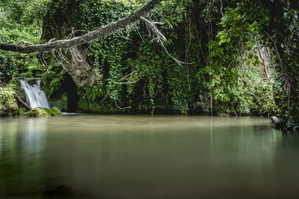 Vista Laghetto Piccola Cascata Fluente Nella Foresta Verde Lunga Esposizione — Foto Stock