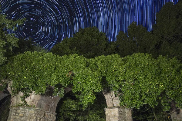 長時間露光の星空で列および静かな池に成長して緑の茂み — ストック写真