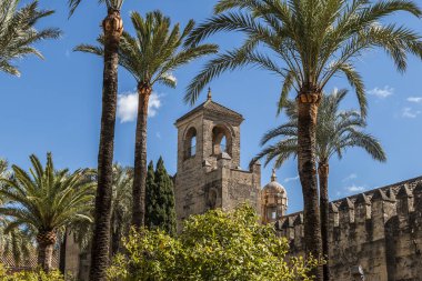 From below of green palms with beautiful medieval stone tower of Alcazar palace against blue sky in Corodoba, Andalusia, Spain