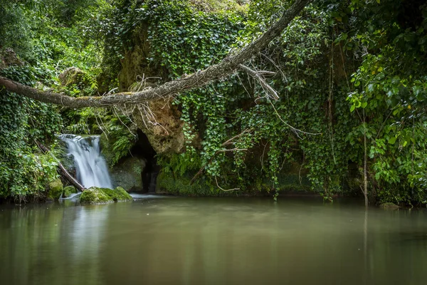 Vista Laghetto Piccola Cascata Fluente Nella Foresta Verde Lunga Esposizione — Foto Stock