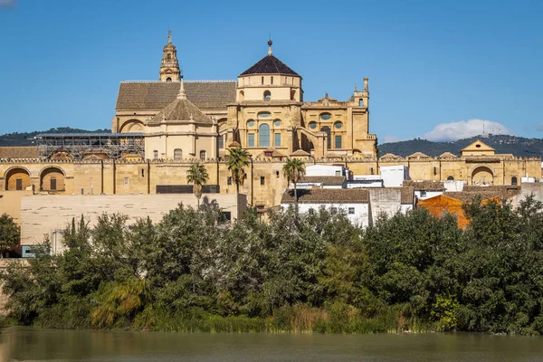 西班牙科尔多瓦瓜达尔基维尔河畔的默兹基塔 蚊子大教堂 的外部 有栅栏和郁郁葱葱的绿树 — 图库照片