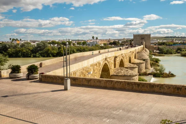 Paisaje Del Viejo Puente Romano Torre Con Verdes Jardines Bajo —  Fotos de Stock