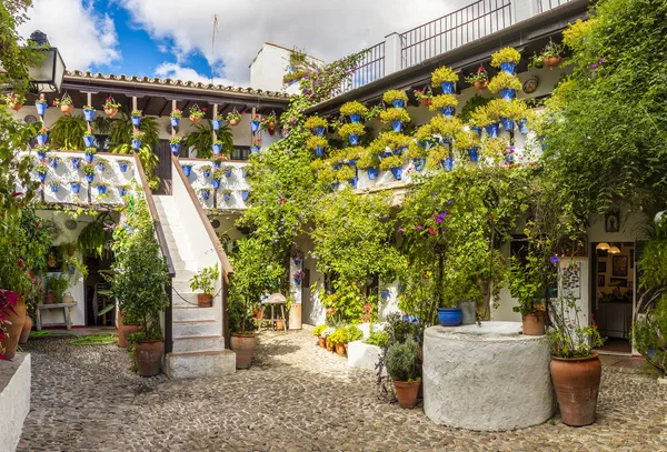 Córdoba España Octubre 2018 Patio Interior Adoquines Patio Cordobes Con —  Fotos de Stock