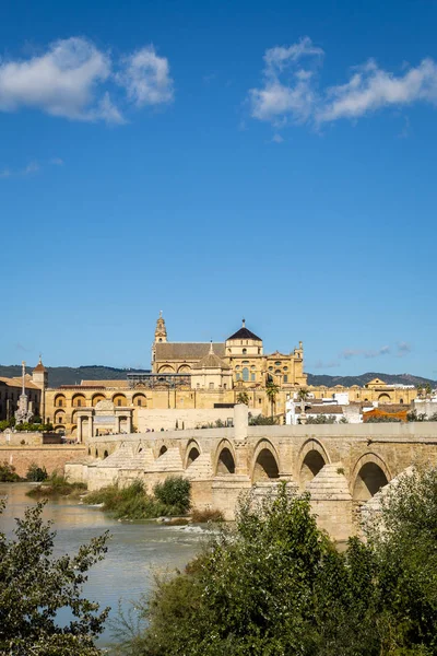 Külső Mezquita Mecset Katedrális Kerítés Buja Zöld Fák Parton Guadalquivir — Stock Fotó