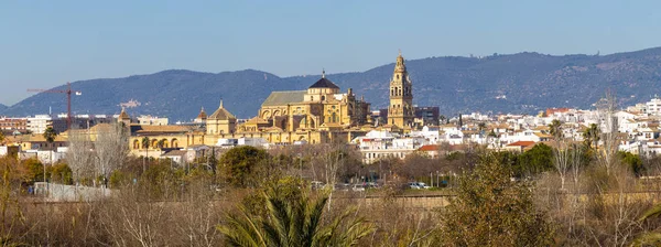 Régi Mezquita katedrálistól Cordoba város felett a Guadalquivir-folyó — Stock Fotó