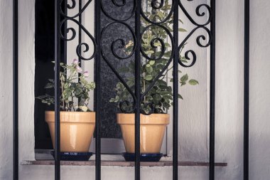 Izgara arkasında pencereüzerinde saksı çiçekleri