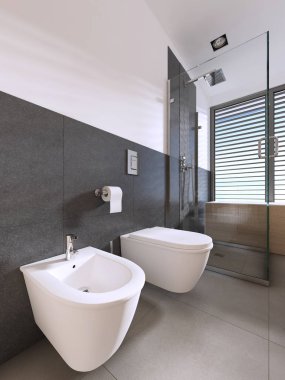 İskandinav tarzı modern banyo tuvalet ve bide. 3D render