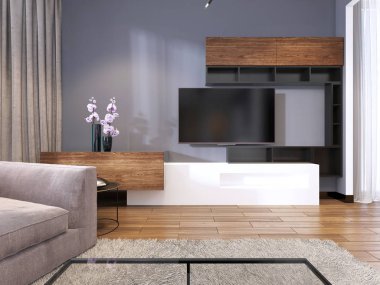 TV depolama rafları köşesinde büyük kanepe ve sehpa ve halı ile modern oturma odasında ile. 3D render