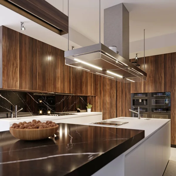 Moderne Keukenapparatuur Hedendaagse Interieur Keuken Rendering — Stockfoto