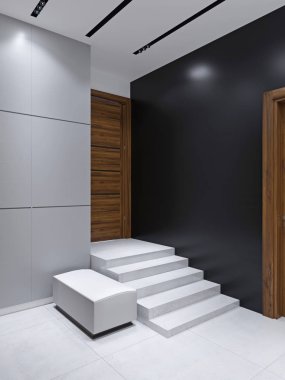 Minimalist tarzda modern giriş salonu. 3D render.