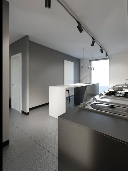 Modern Corridor Access Kitchen Rendering — Stock Photo, Image