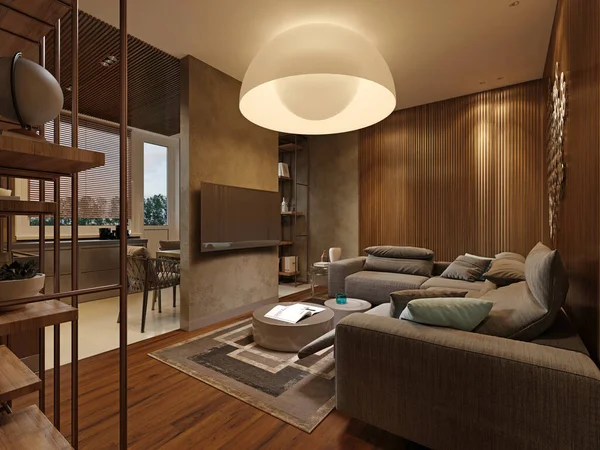 Studio Apartment Living Room Kitchen Area Brown Beige Color Modern — Stock Photo, Image