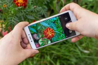 Akıllı telefon ve cep telefonuyla fotoğraf çeken eller.