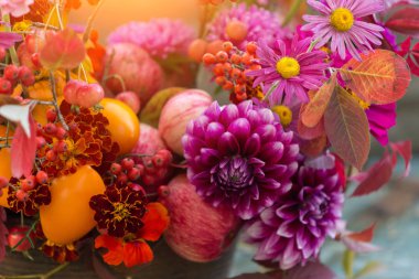 Sonbahar çiçekleri yakın plan, güneş ışığında yıldız çiçeği ile sonbahar çiçeği.