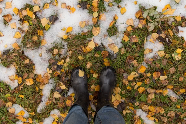 Autumn fall concept with yellow leaves, rain boots and first snow, winter beginning concept