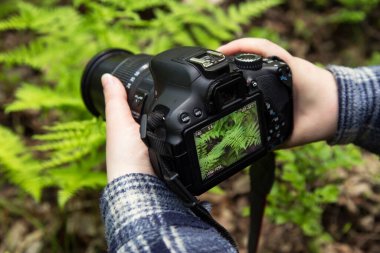 Kamerayı yakın çekime al. Yeşil eğreltiotu yaprakları ile doğa fotoğrafı ve video yapmak
