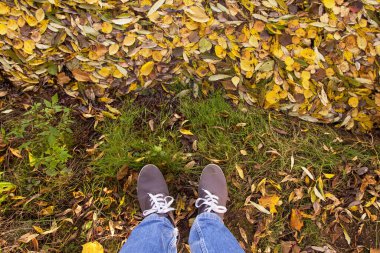 Sarı sonbahar yapraklarının üzerinde duran spor ayakkabılı bacaklar. Sonbahar doğasında yürüyen ayaklar.