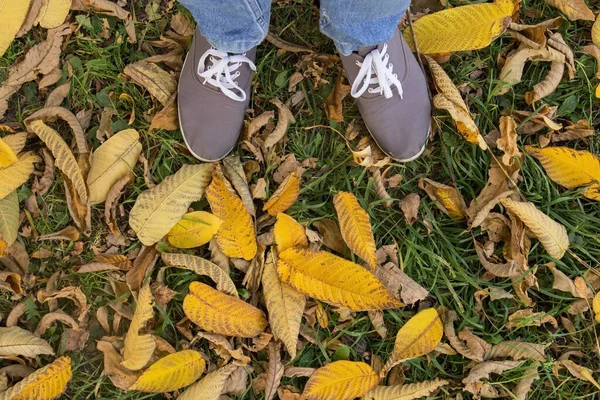 신발을 가을마른 나뭇잎 — 스톡 사진