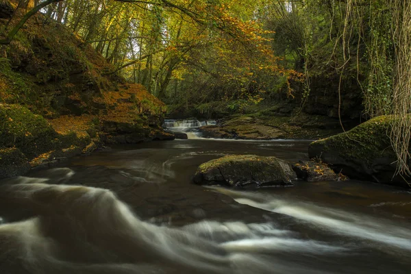 Herbstliche Waldlandschaft Schattige Stromschnellen Mit Herbstblättern Bemooste Felsen Und Bäume — Stockfoto