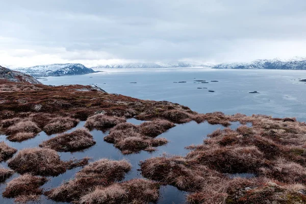 Norveç 'te panoramik fiord görünümü