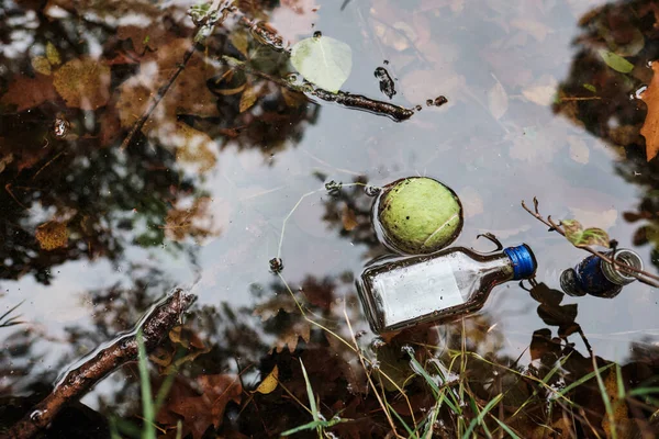 Tennis ball and alcoholic drink bottles floating in a pound with reflections