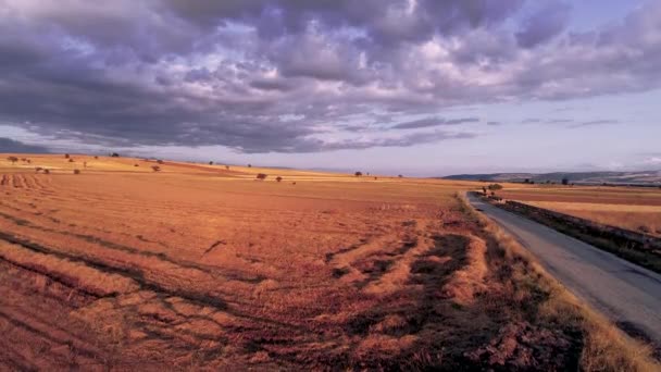 Cosechados Campos Trigo Cielo Azul Carretera Nubes — Vídeos de Stock