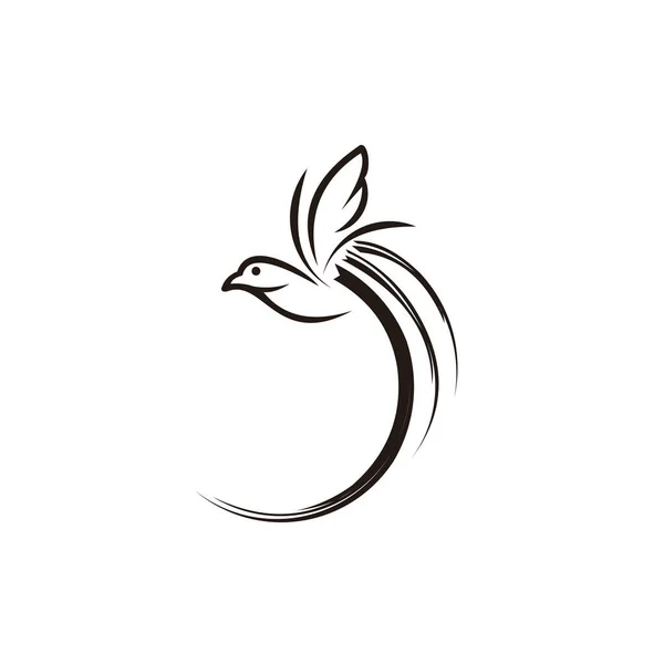 Logo Ptaka Szablon Logo Firmy Bird Projekt Godła Białym Tle — Wektor stockowy
