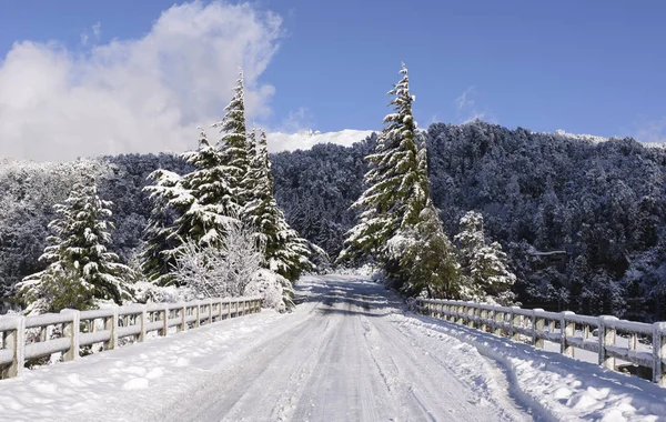 Doğa ve kış görünümlerinde San Carlos de Bariloche, Patagonia, Arjantin.