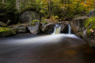 Ormanda güzel bir şelale