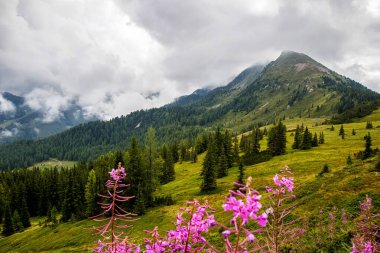 Dağlarda sıradağları olan güzel bir manzara.