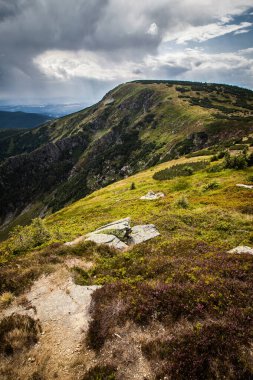 Karpat Dağlarının güzel manzarası